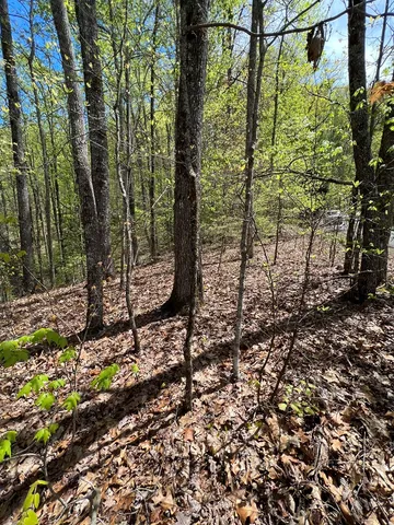 $45,000 | 33-35 Ash Branch, Hayesville, NC 28904