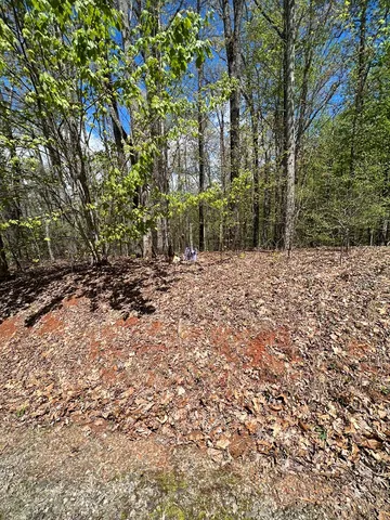 $45,000 | 33-35 Ash Branch, Hayesville, NC 28904