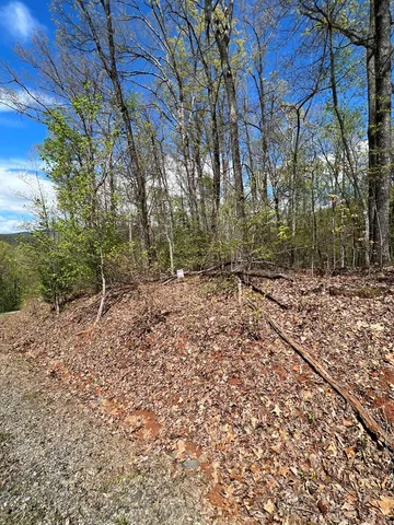 $45,000 | 33-35 Ash Branch, Hayesville, NC 28904