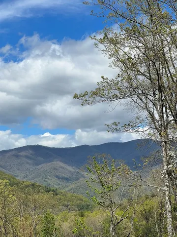 $45,000 | 33-35 Ash Branch, Hayesville, NC 28904