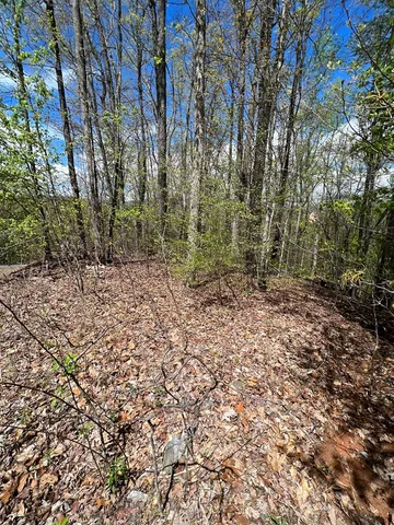 $45,000 | 33-35 Ash Branch, Hayesville, NC 28904