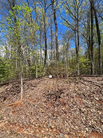 $45,000 | 33-35 Ash Branch, Hayesville, NC 28904