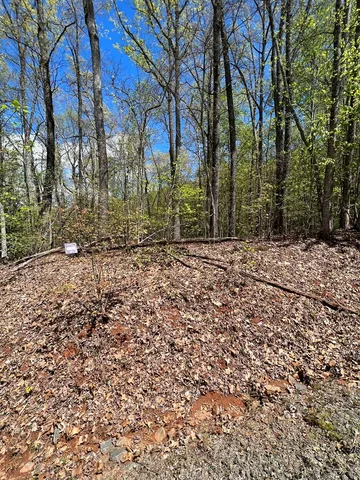 $45,000 | 33-35 Ash Branch, Hayesville, NC 28904