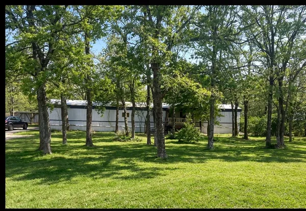 a view of a park with large trees