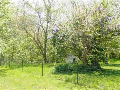 12203 Rouget Road Deerfield, MI 49238 - Photo 20 of 20 739355-19.JPG