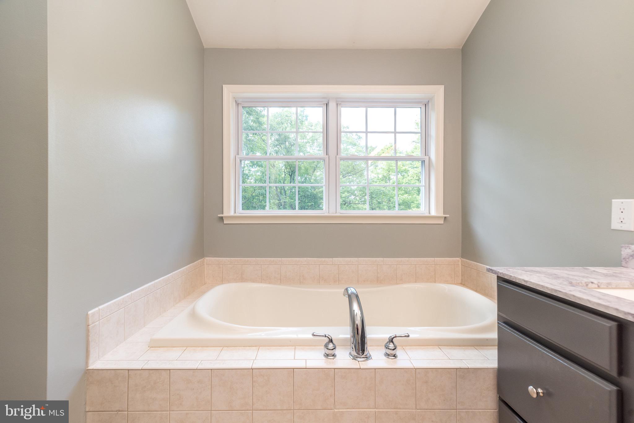 226 Overlook Road Morgantown, PA 19543 - Photo 40 of 63 Soak in Your Garden Tub