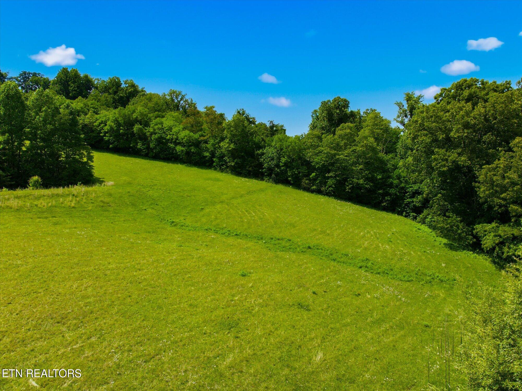 1030 Kirk Road Greenback, TN 37742 - Photo 36 of 45 36-1030-Kirk-Rd-Greenback-TN-36