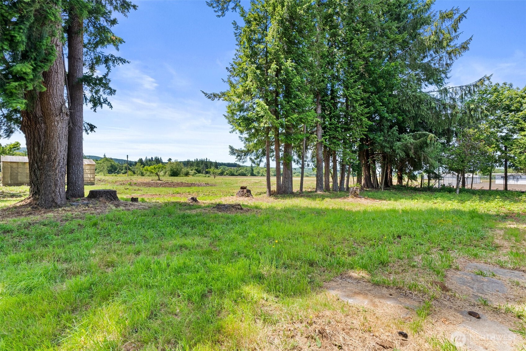 1608 SR 6 Raymond, WA 98577 - Photo 7 of 12 a view of outdoor space with garden and trees