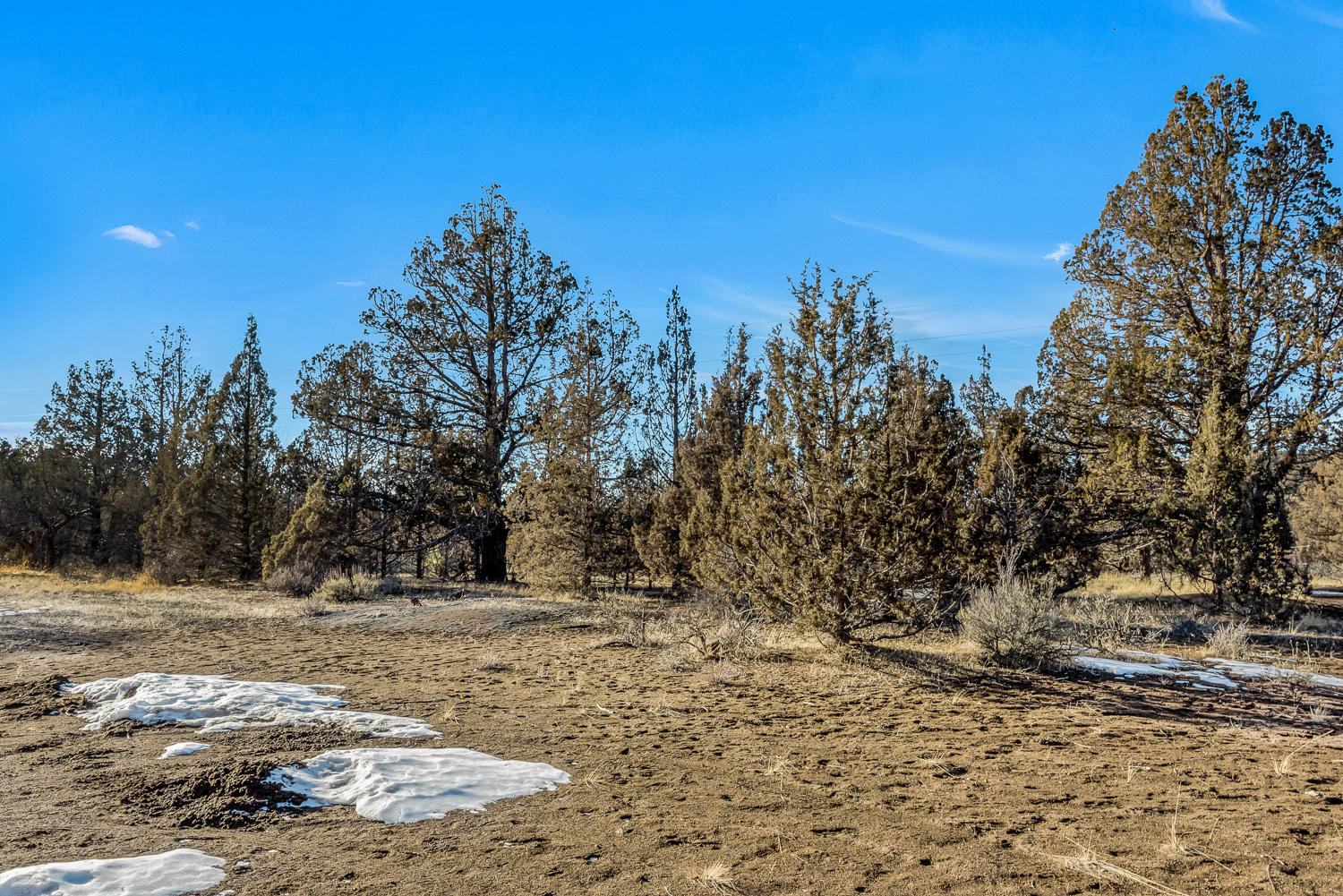 64555 Research Road Bend, OR 97703 - Photo 9 of 21 OReilly_20210204_4_294273_72ppi