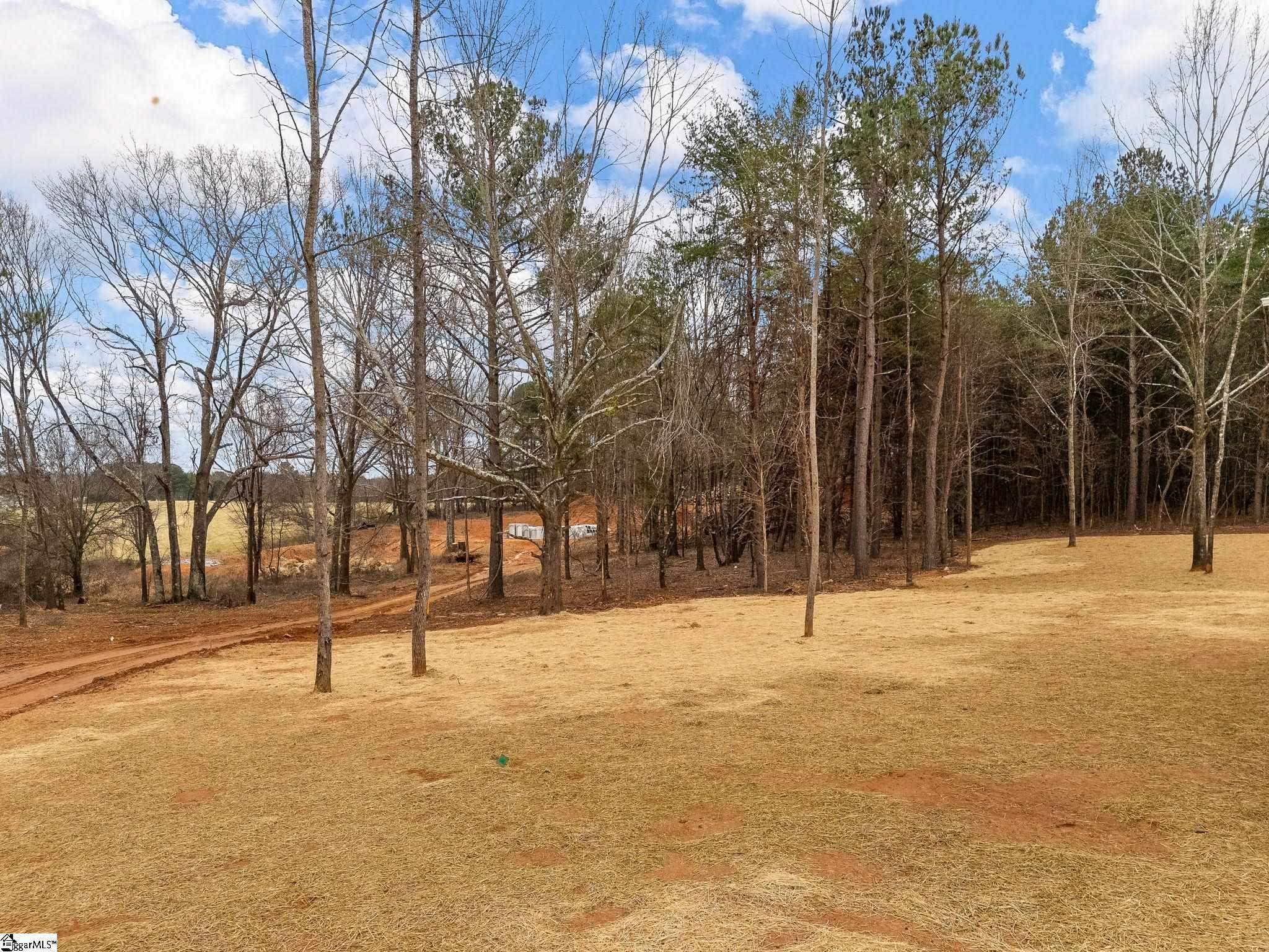 351 Little Mountain Circle Inman, SC 29349 - Photo 36 of 36