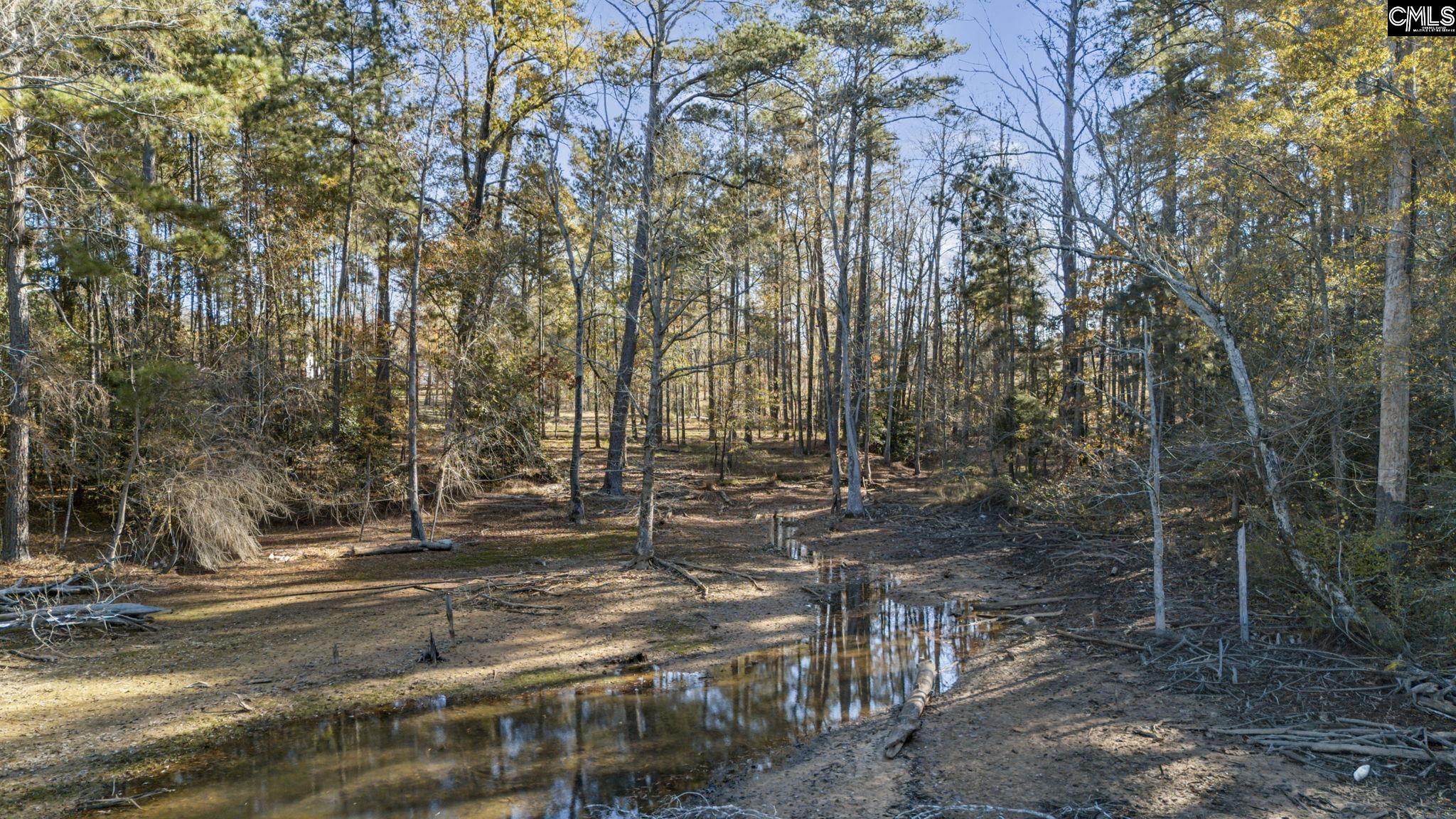 0 Navigator Trail Prosperity, SC 29127 - Photo 13 of 29