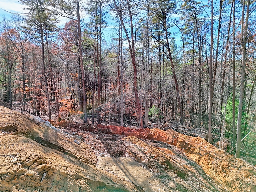 223 Watkins Road Blairsville, GA 30512 - Photo 13 of 22