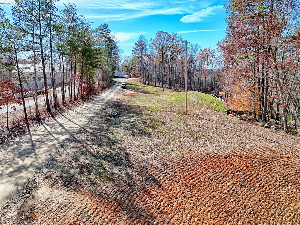 223 Watkins Road Blairsville, GA 30512 - Photo 15 of 22