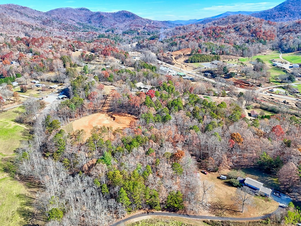 223 Watkins Road Blairsville, GA 30512 - Photo 19 of 22