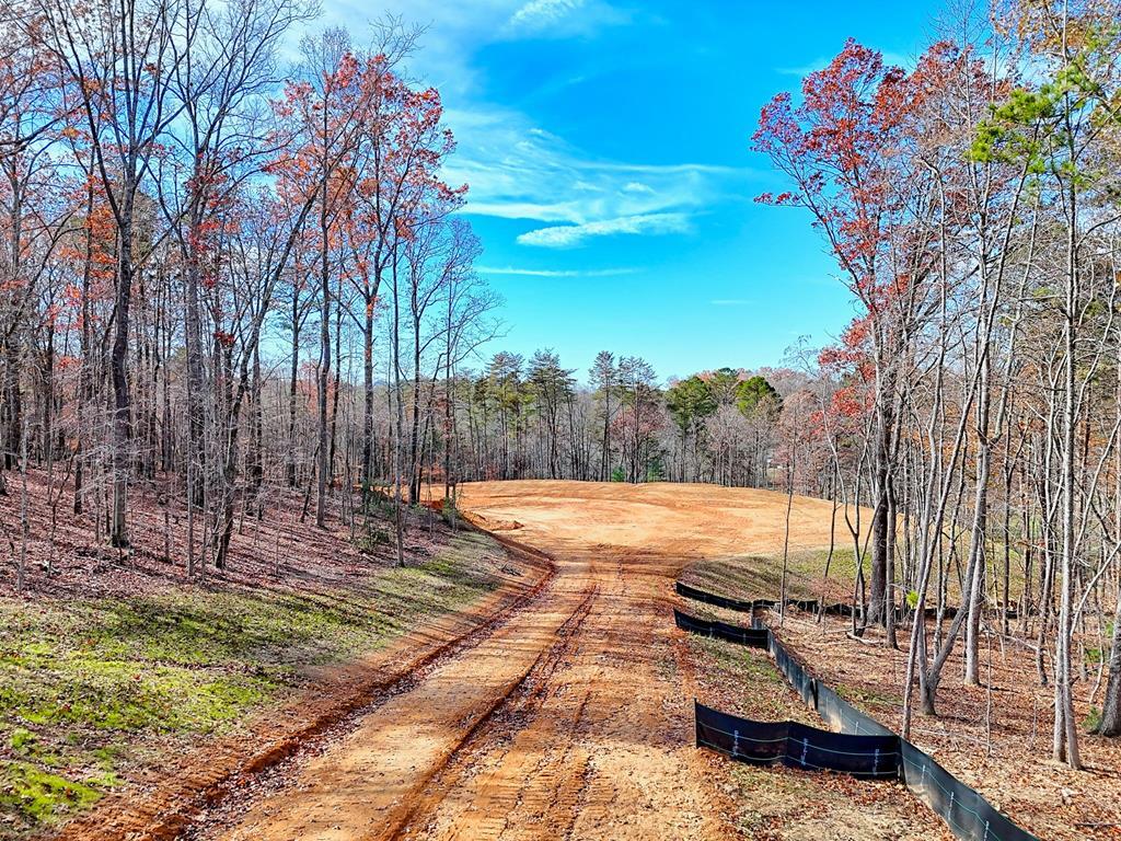 223 Watkins Road Blairsville, GA 30512 - Photo 2 of 22