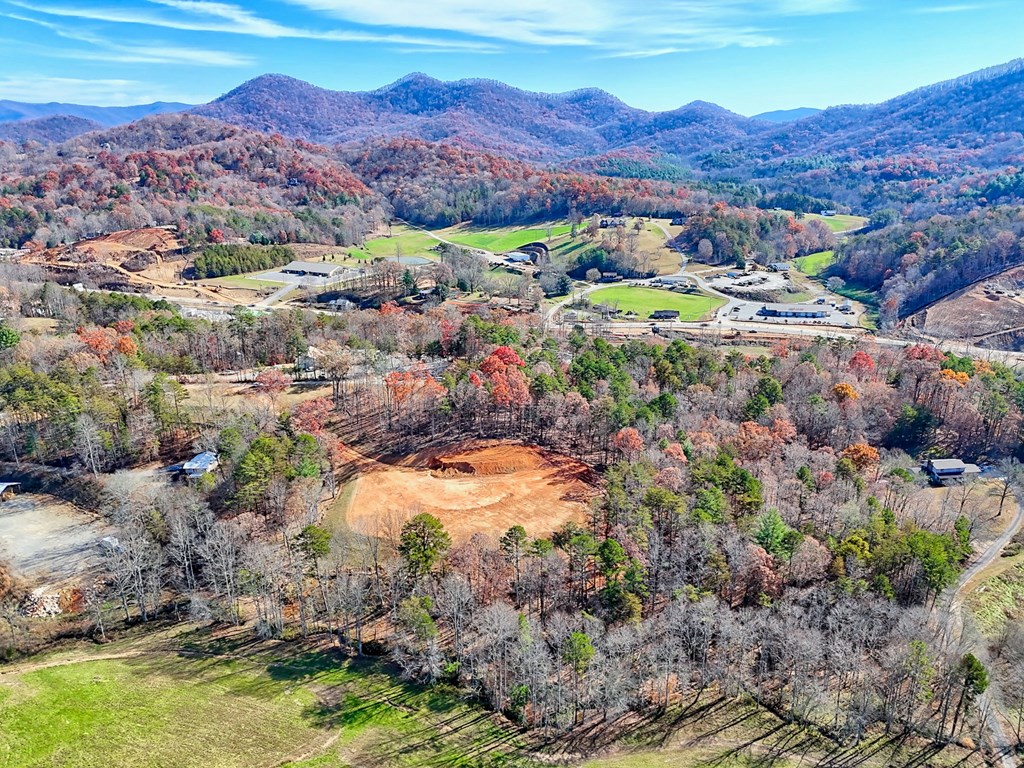 223 Watkins Road Blairsville, GA 30512 - Photo 21 of 22