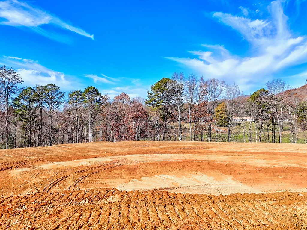 223 Watkins Road Blairsville, GA 30512 - Photo 5 of 22