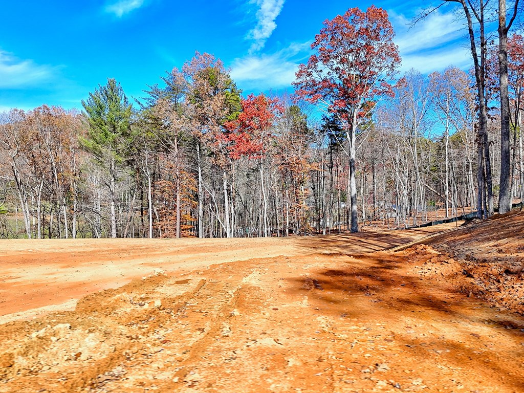 223 Watkins Road Blairsville, GA 30512 - Photo 6 of 22