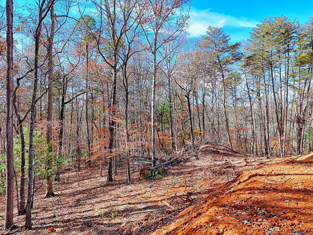 223 Watkins Road Blairsville, GA 30512 - Photo 8 of 22