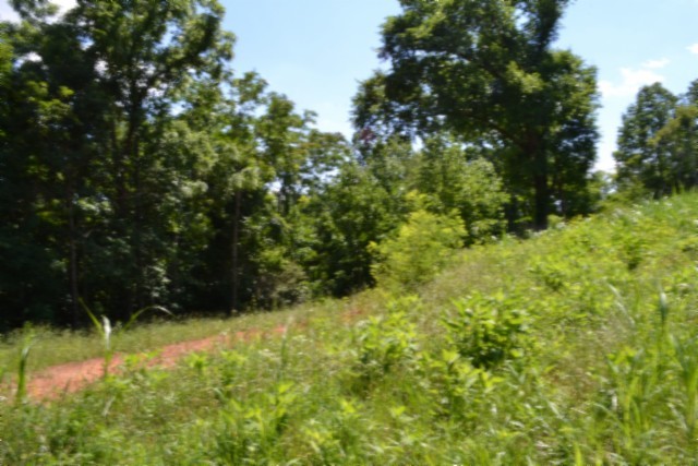 0 Pea Ridge Fire Tower Road Celina, TN 38551 - Photo 38 of 53