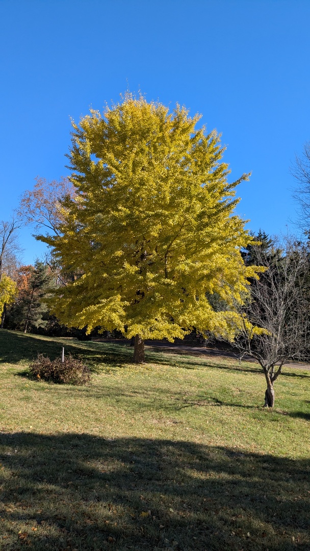 674 Plum Tree Road Barrington Hills, IL 60010 - Photo 64 of 66