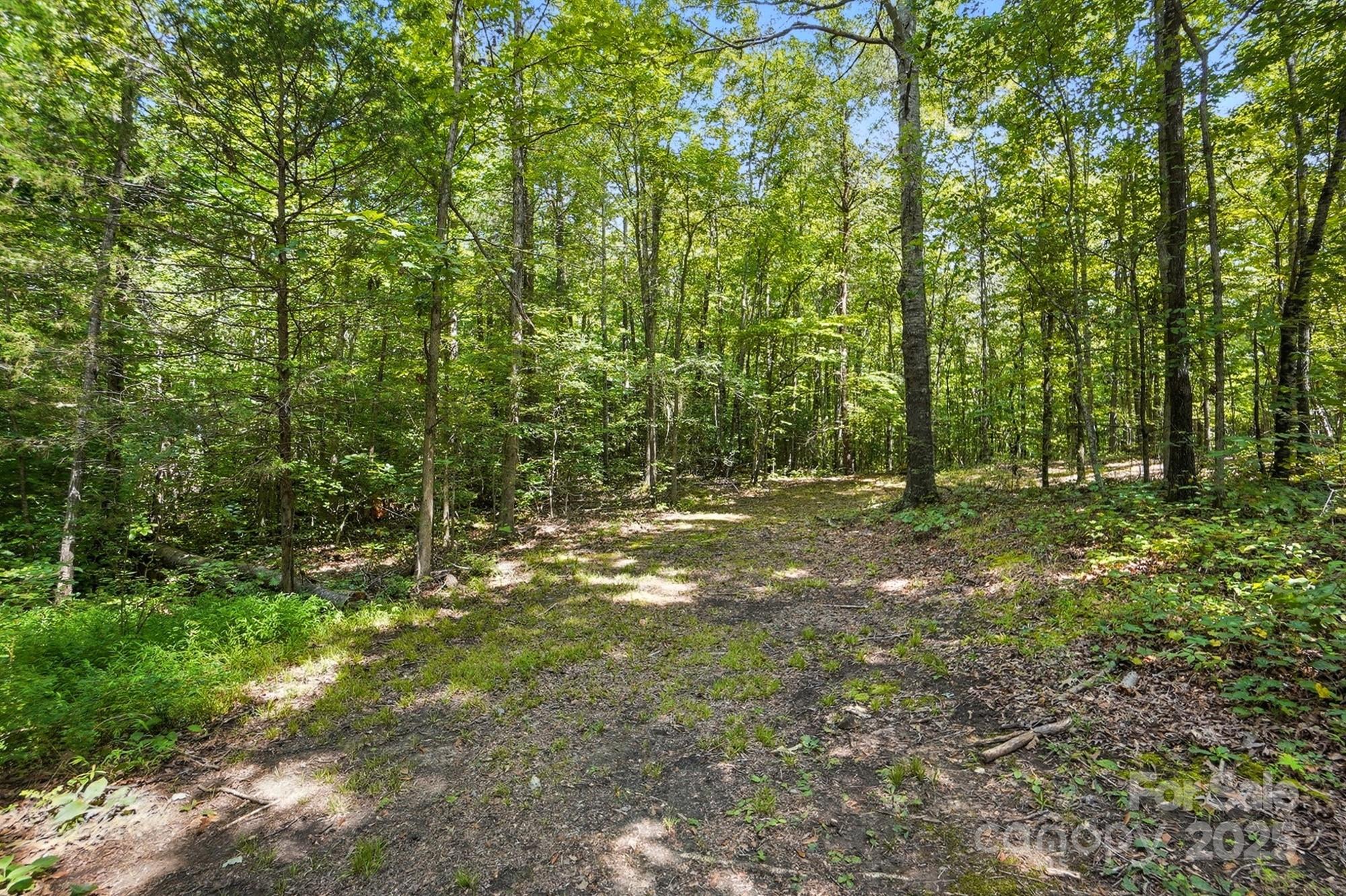 713 Alexis Lucia Road Alexis, NC 28006 - Photo 33 of 33 Gallery Image 33