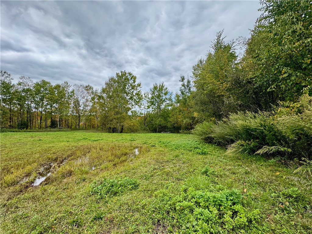 Gallop Hill Road Walton, NY 13856 - Photo 3 of 48 Gallery Image 3