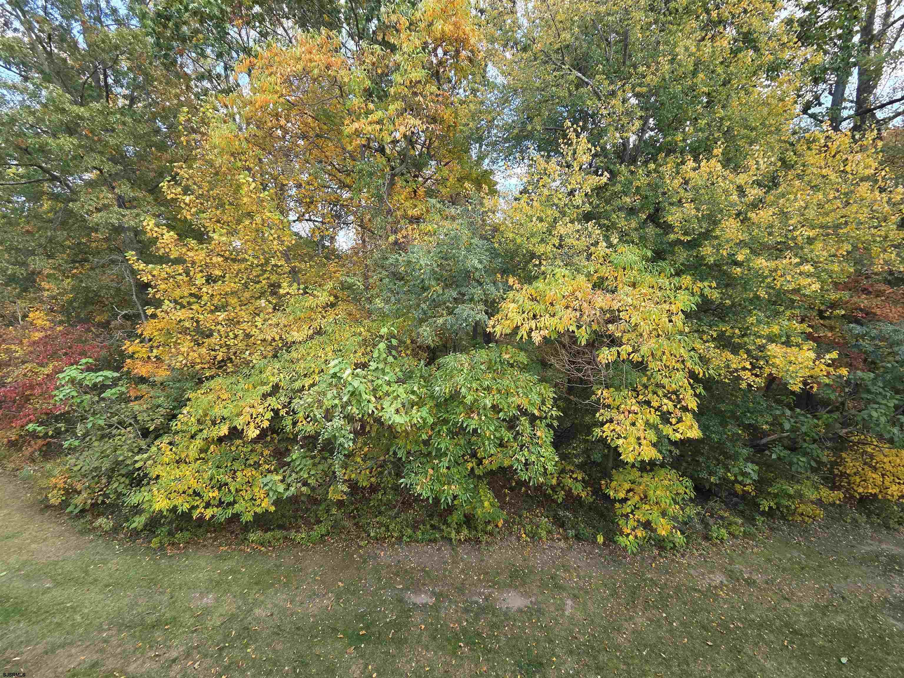 148 Natalie Road, Unit 148 Riverside, NJ 08075 - Photo 4 of 18