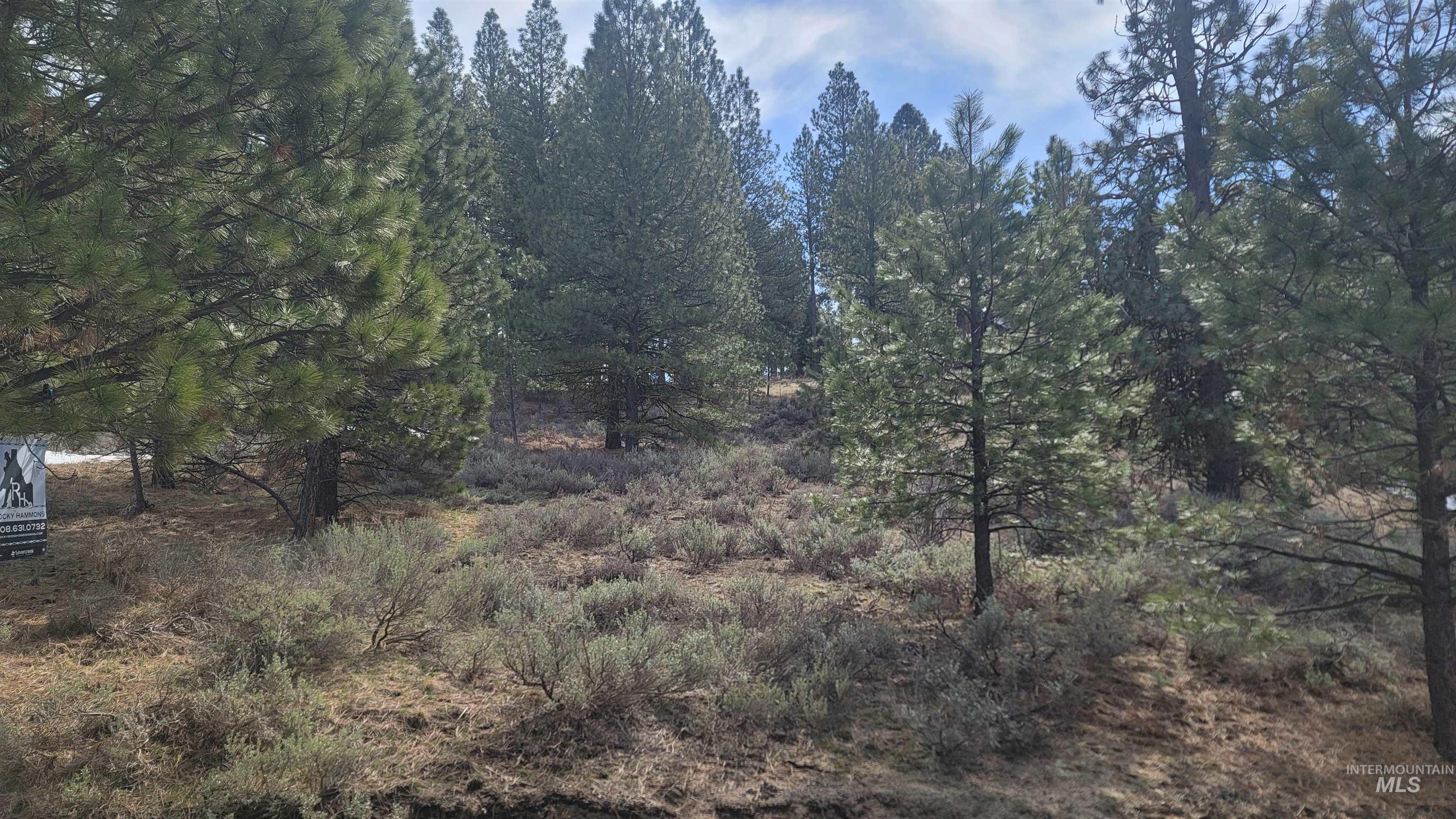 1483 Pine Lakes Ranch Drive Cascade, ID 83611 - Photo 14 of 20