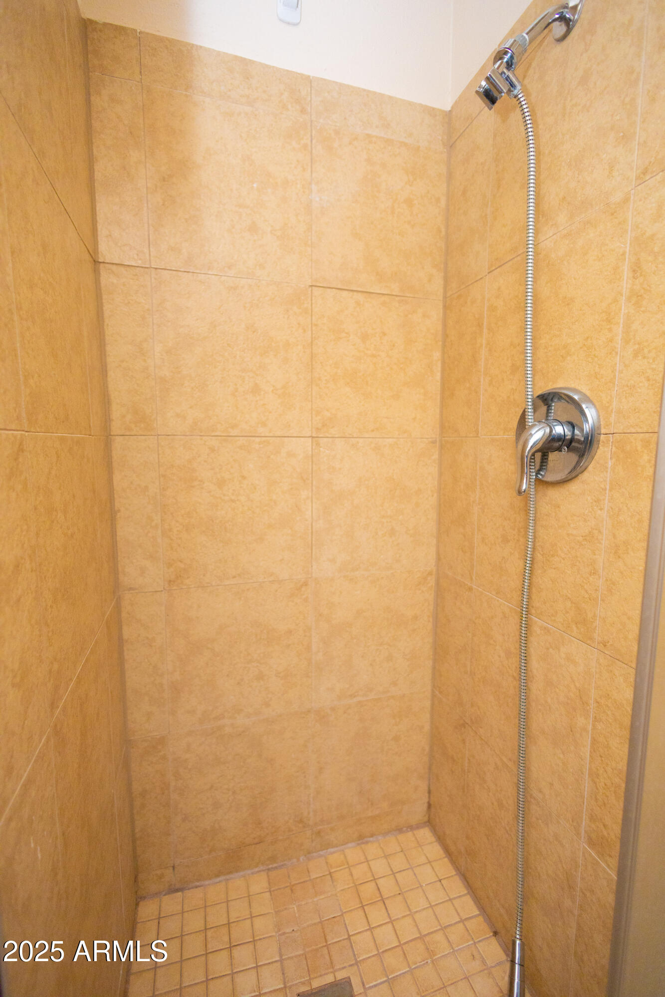 2363 East 13th Street Douglas, AZ 85607 - Photo 17 of 20 Worhsop Shower IMG_9460