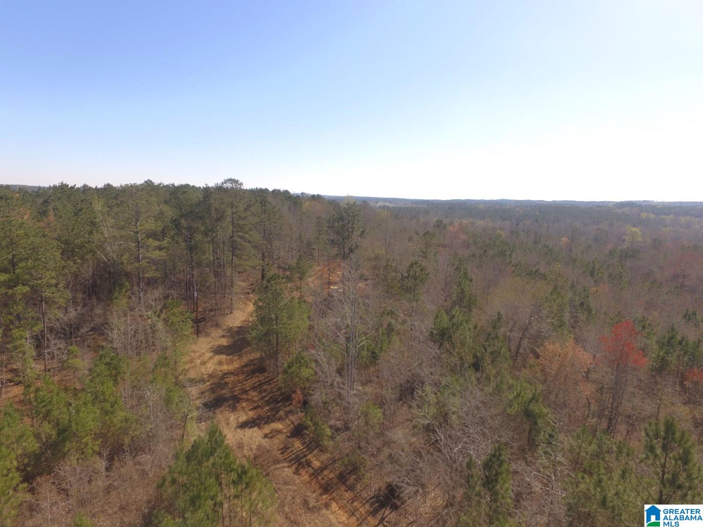 3045 Corinth Road, Unit 56 ACRES Cragford, AL 36255 - Photo 19 of 29