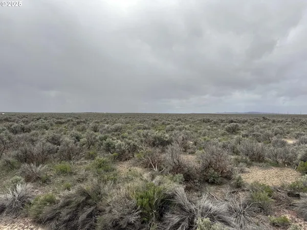 $24,500 | Fossil Lake Road, Unit 100, Christmas Valley, OR 97641