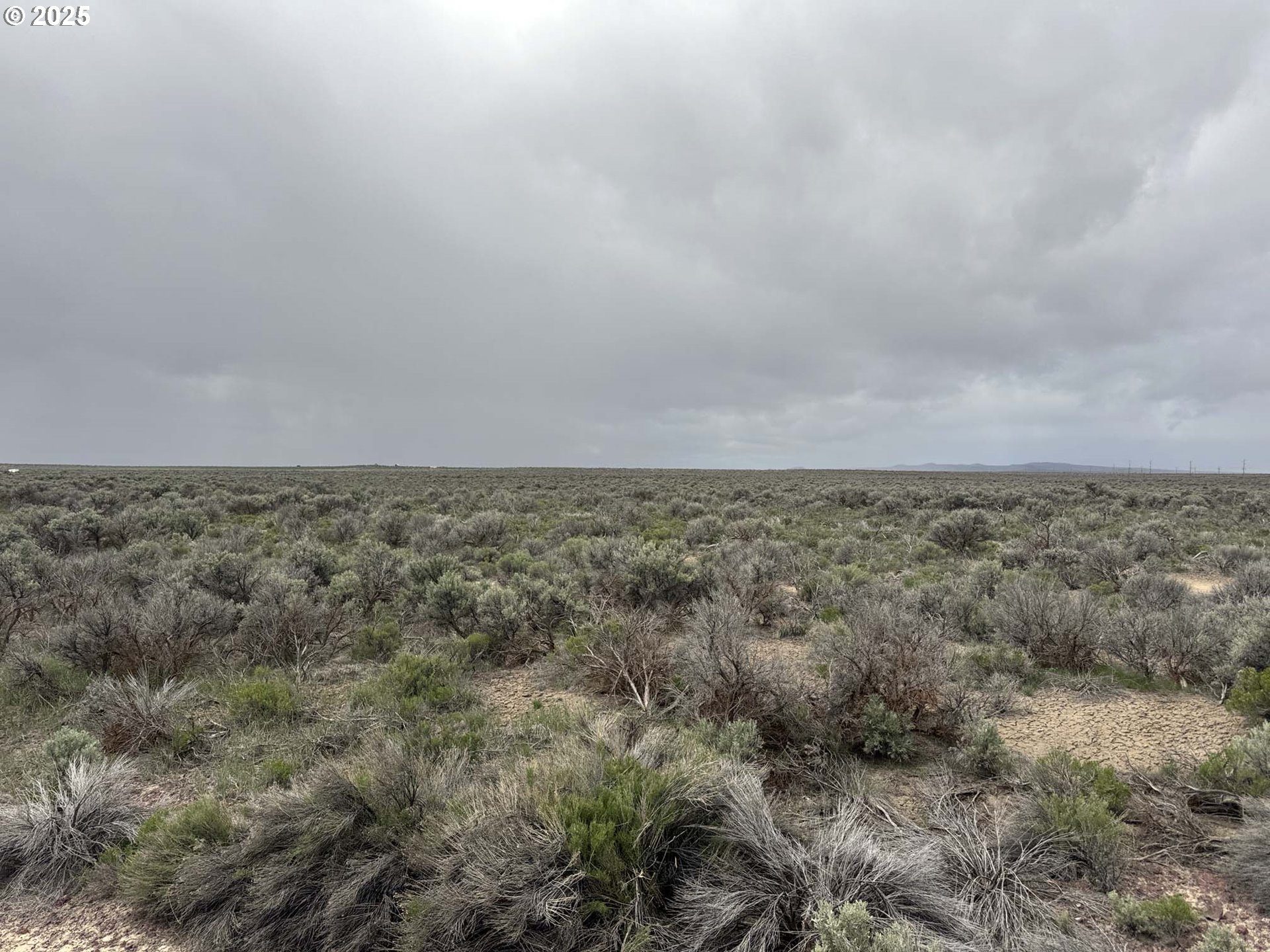 a view of a dry yard