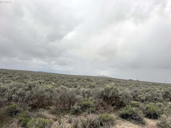 $24,500 | Fossil Lake Road, Unit 100, Christmas Valley, OR 97641