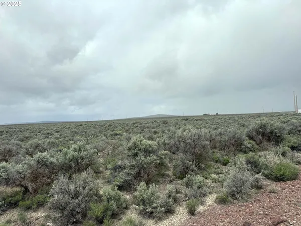 $24,500 | Fossil Lake Road, Unit 100, Christmas Valley, OR 97641