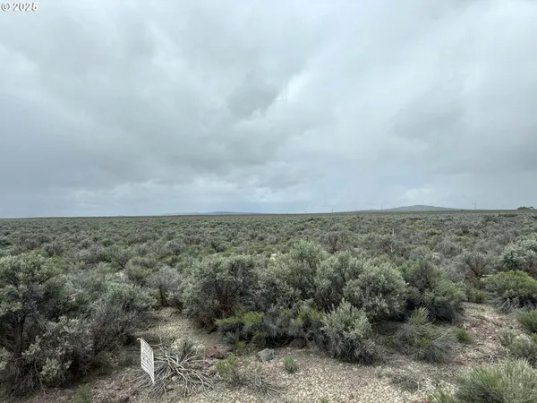 $24,500 | Fossil Lake Road, Unit 100, Christmas Valley, OR 97641