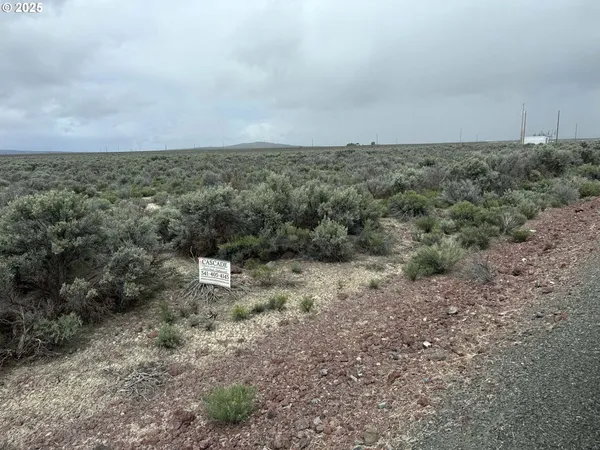 $24,500 | Fossil Lake Road, Unit 100, Christmas Valley, OR 97641