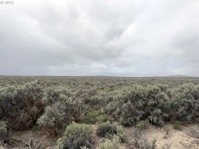 $24,500 | Fossil Lake Road, Unit 100, Christmas Valley, OR 97641