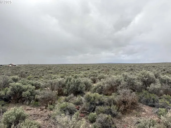 $24,500 | Fossil Lake Road, Unit 100, Christmas Valley, OR 97641