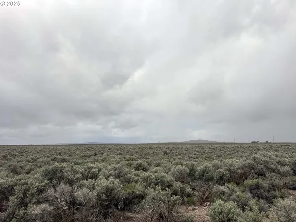 $24,500 | Fossil Lake Road, Unit 100, Christmas Valley, OR 97641