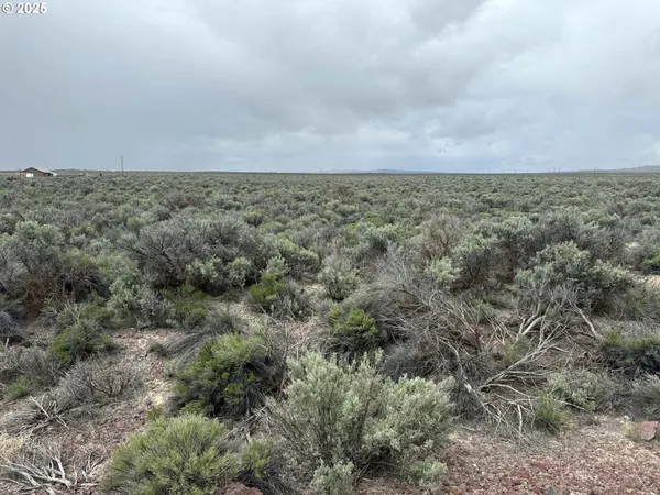 $24,500 | Fossil Lake Road, Unit 100, Christmas Valley, OR 97641