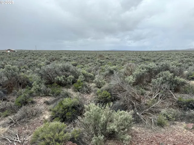 $24,500 | Fossil Lake Road, Unit 100, Christmas Valley, OR 97641