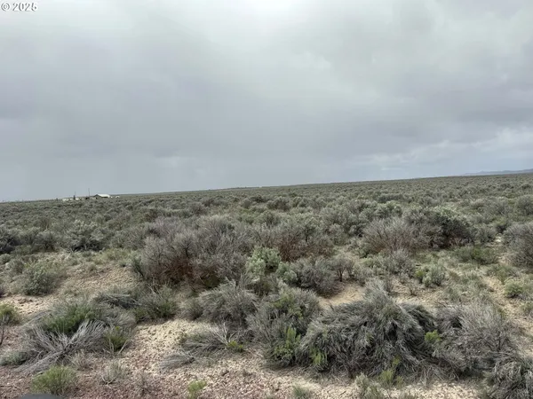 $24,500 | Fossil Lake Road, Unit 100, Christmas Valley, OR 97641