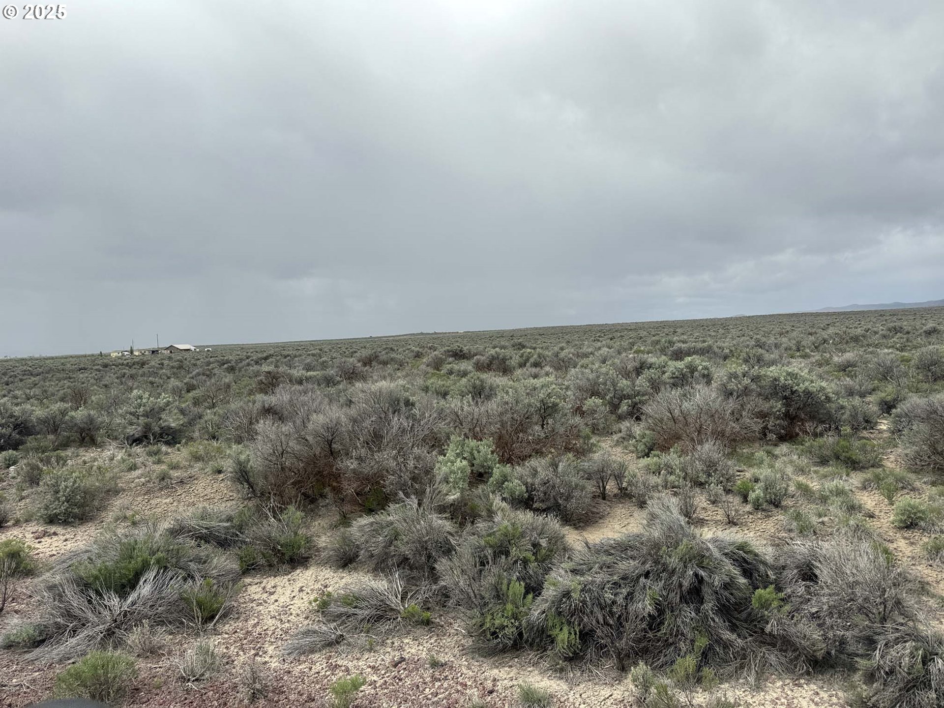 Fossil Lake Road, Unit 100 Christmas Valley, OR 97641 - Photo 2 of 21 a view of a dry field with trees in the background