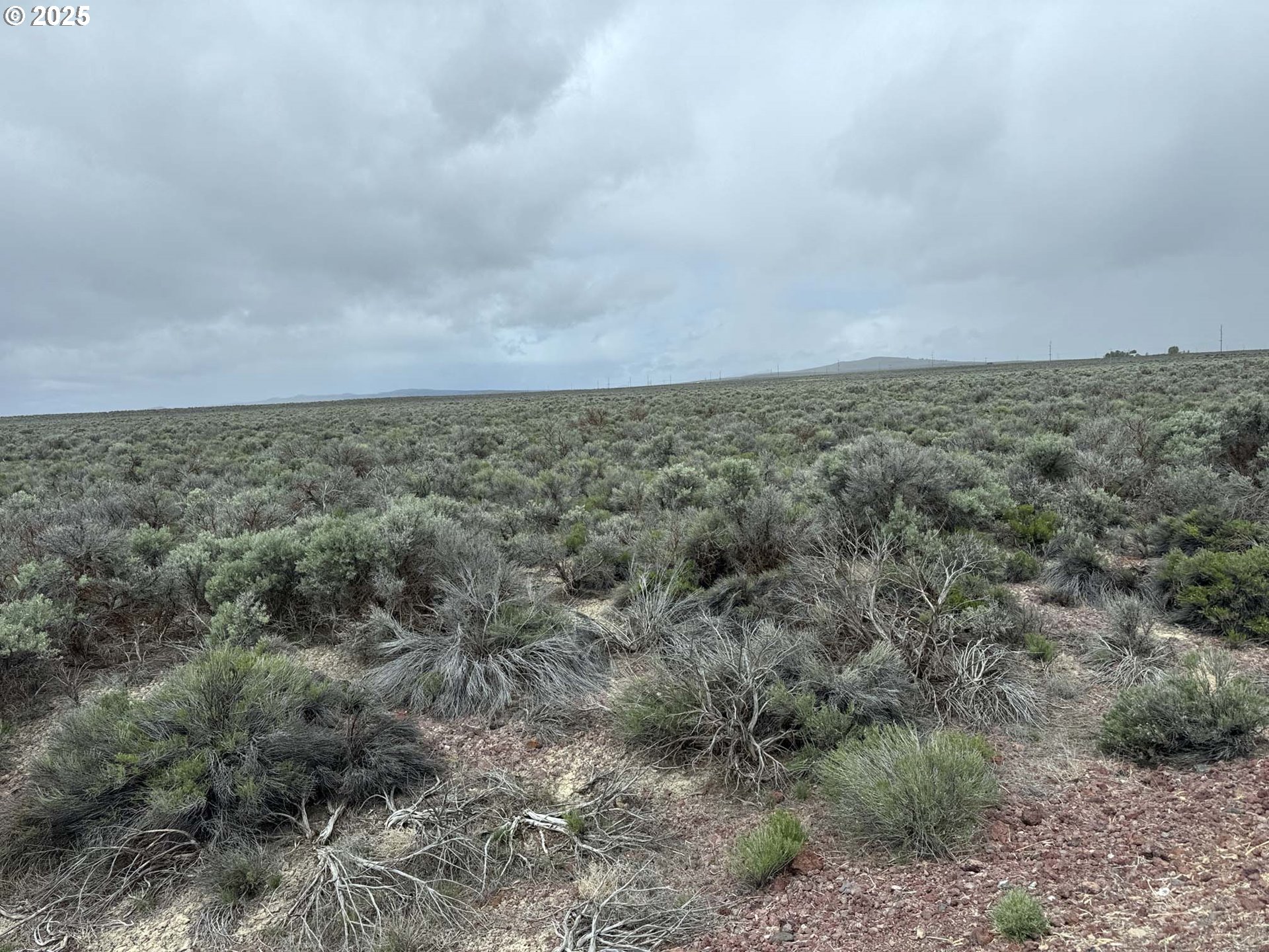 Fossil Lake Road, Unit 100 Christmas Valley, OR 97641 - Photo 21 of 21 a view of a dry yard