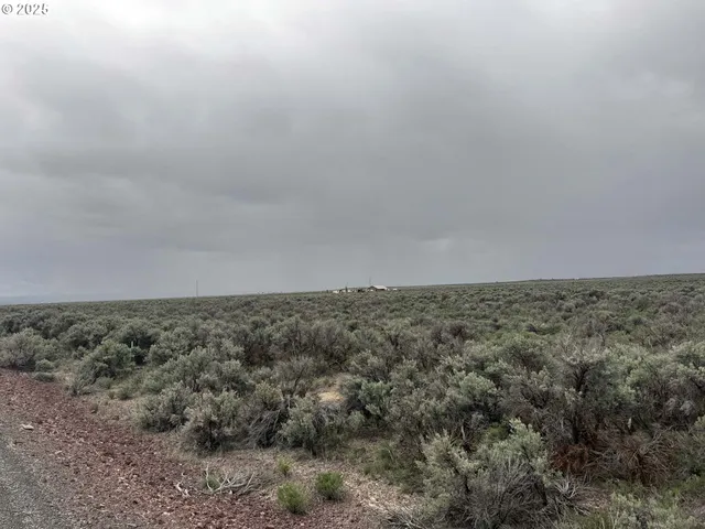 a view of a dry field