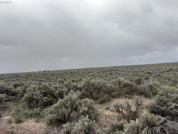 $24,500 | Fossil Lake Road, Unit 100, Christmas Valley, OR 97641