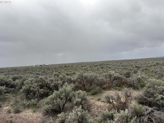 a view of a dry field with trees in it