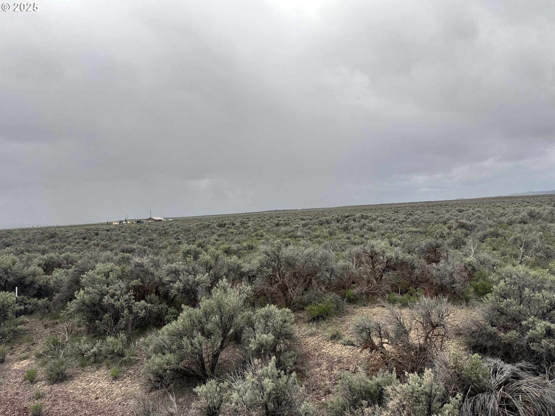 Fossil Lake Road, Unit 100 Christmas Valley, OR 97641 - Photo 6 of 21 a view of a dry field with trees in it
