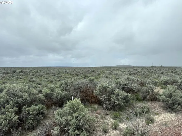 $24,500 | Fossil Lake Road, Unit 100, Christmas Valley, OR 97641